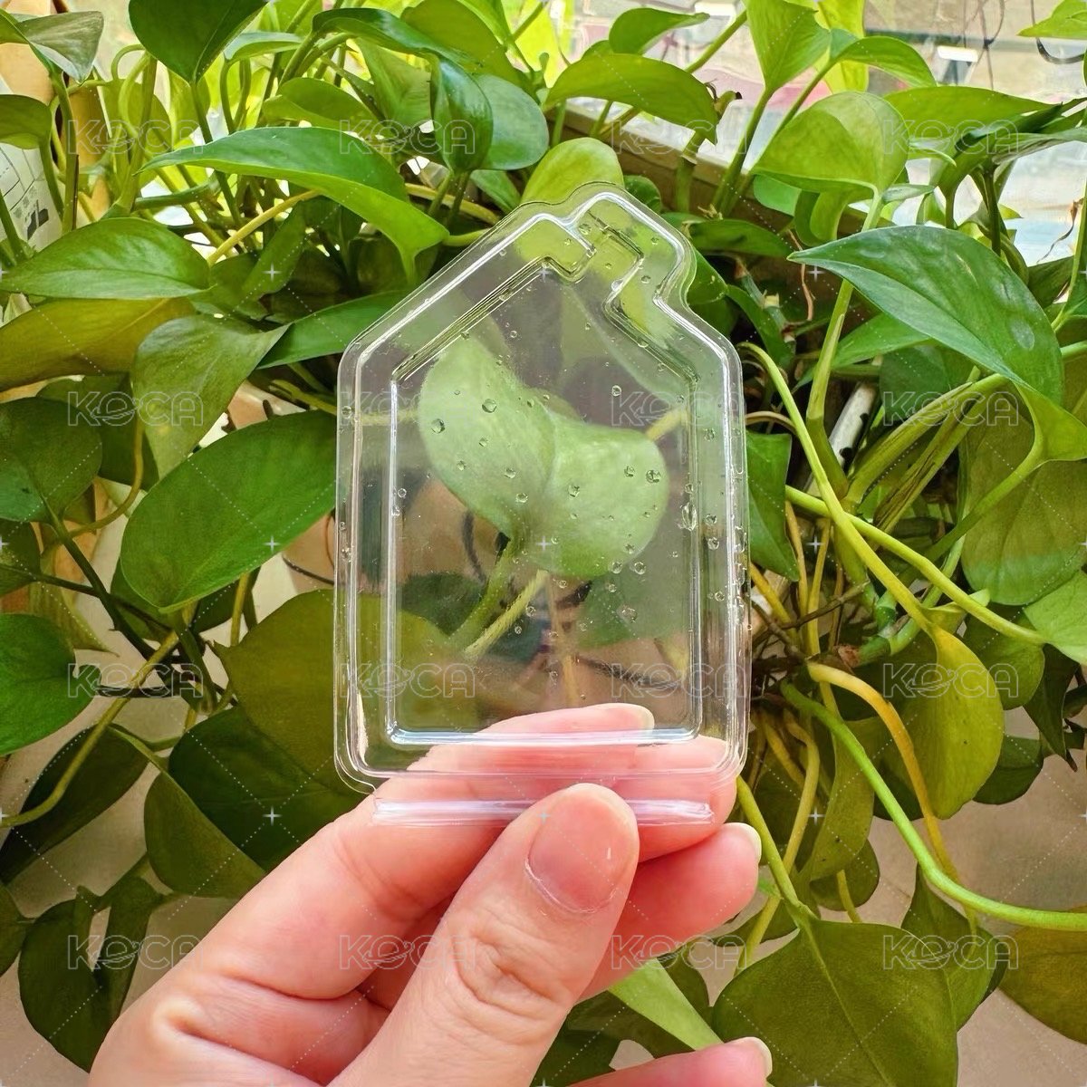 吊牌保護殼