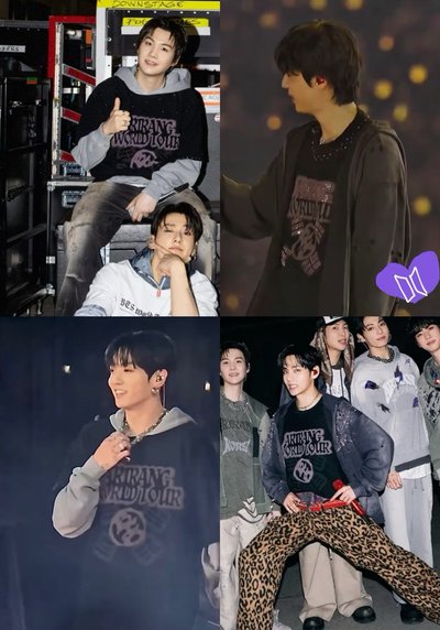 ARIRANG 巡演T (L*1/XL*1)