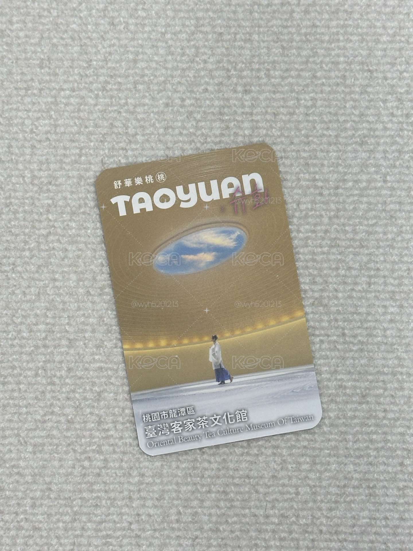 桃園觀光大使 代言卡 