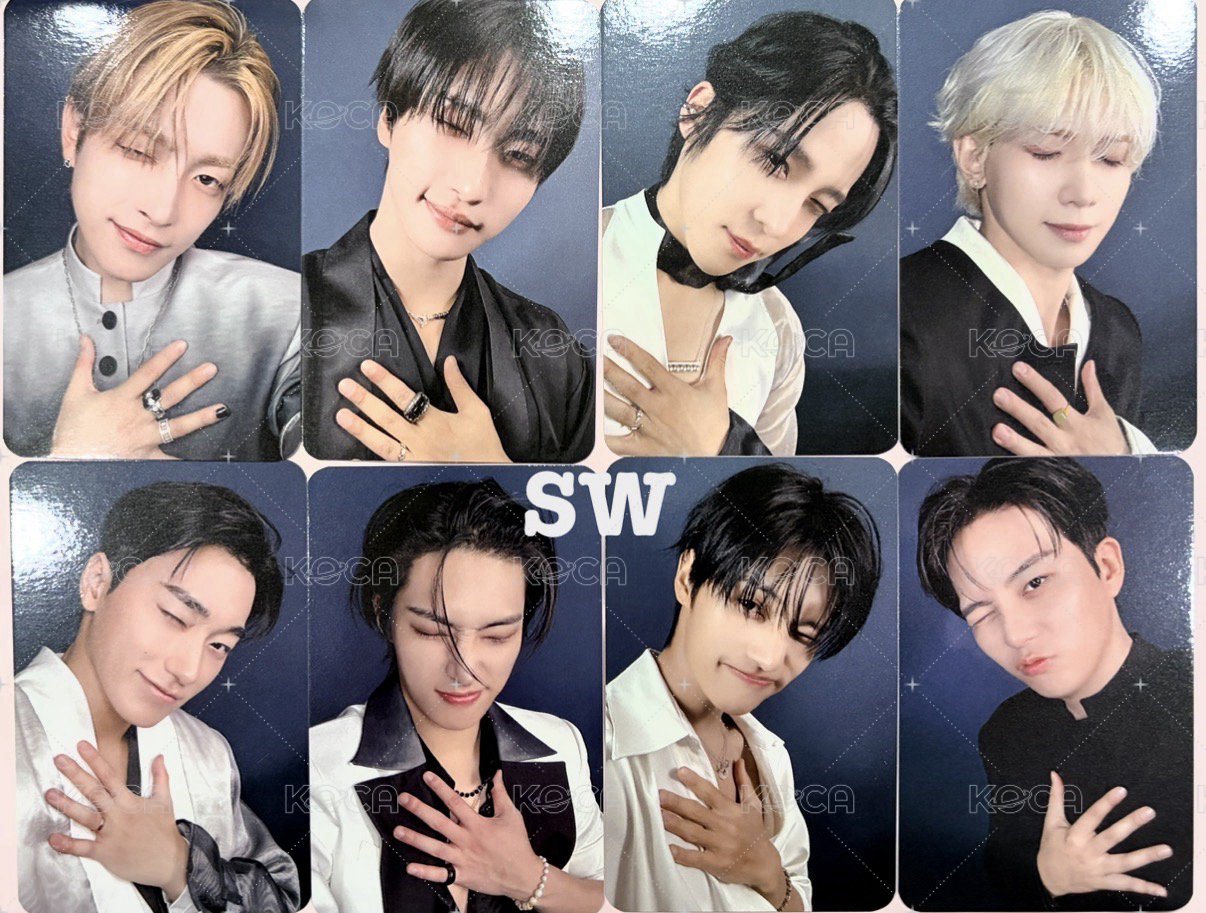 SW 忠燮wink ver.