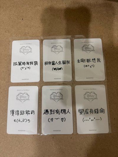 寫下你的願望 一套 （中背）
