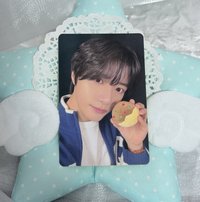 圭🧸