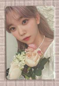 捧花月