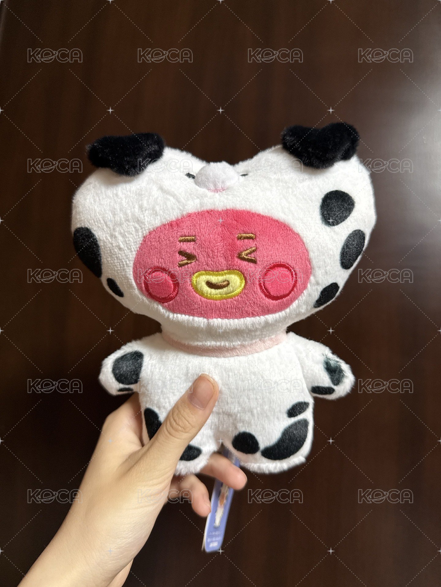斑點狗狗TATA