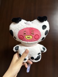 斑點狗狗TATA