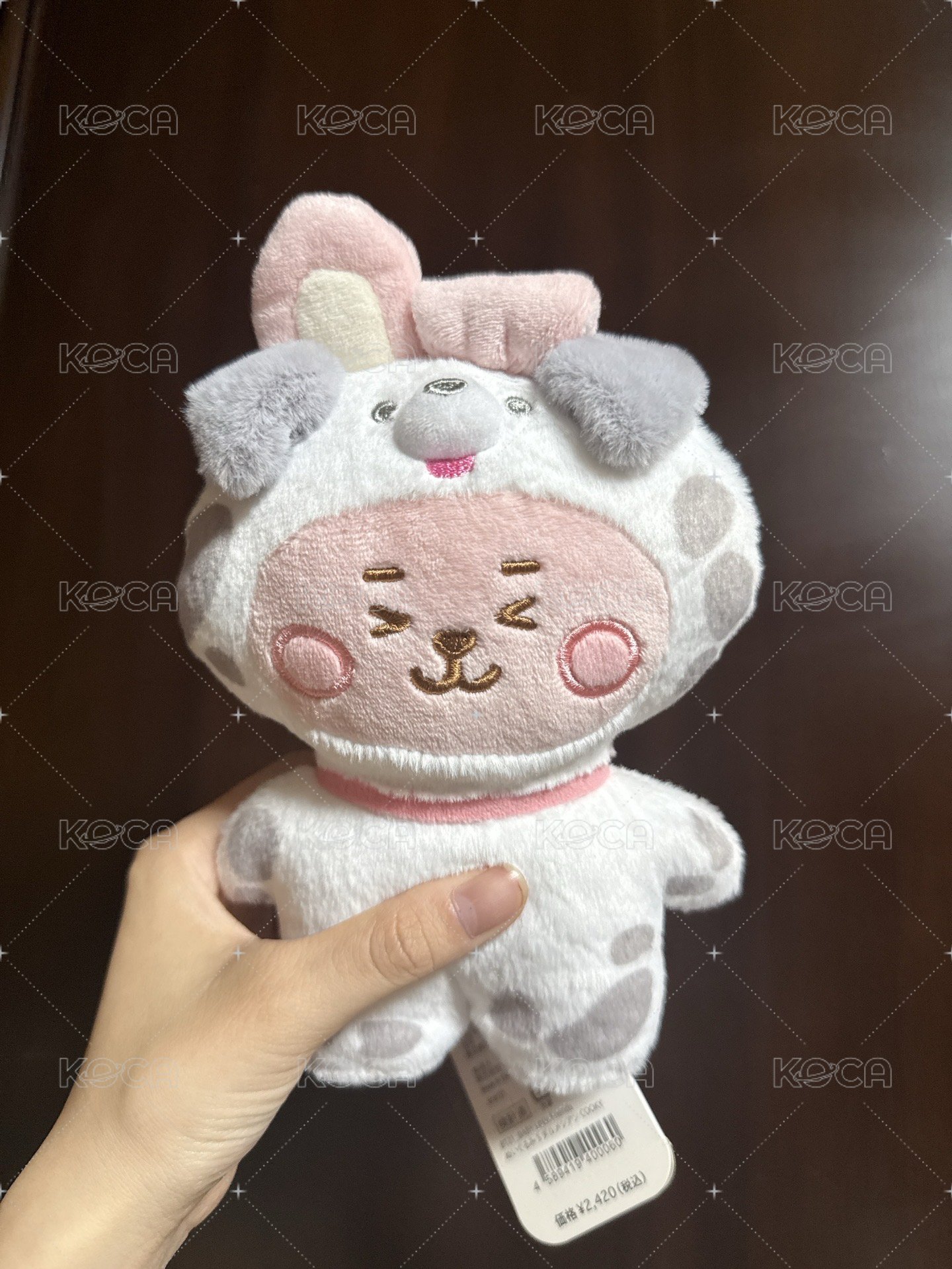 斑點狗狗COOKY