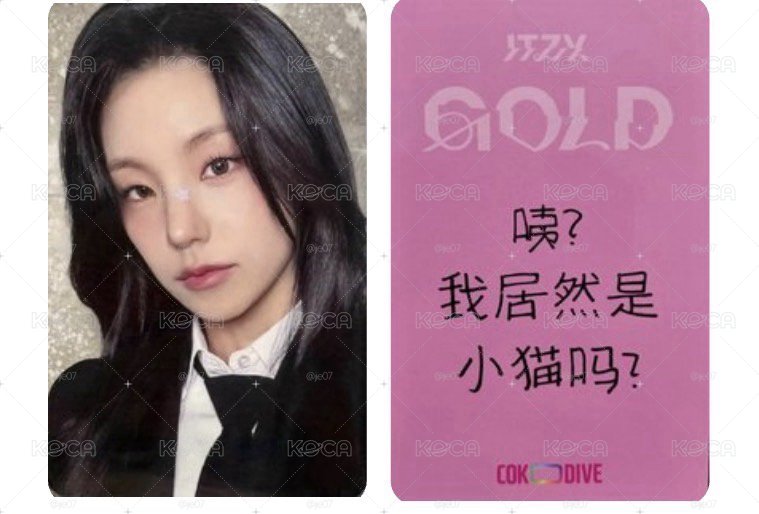 gold簽售志