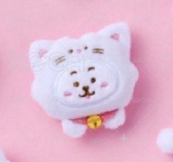 JIN