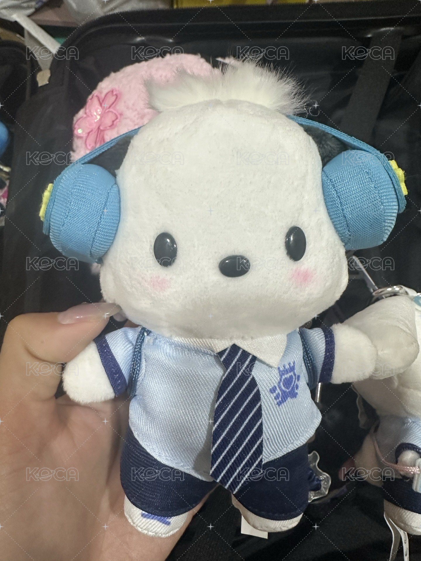 帕恰狗