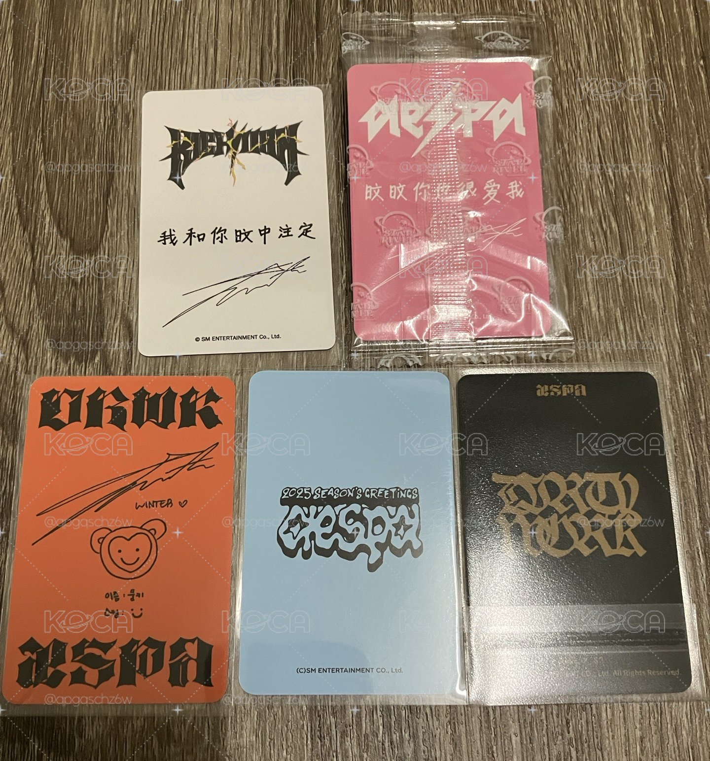 粉衣冬小盤