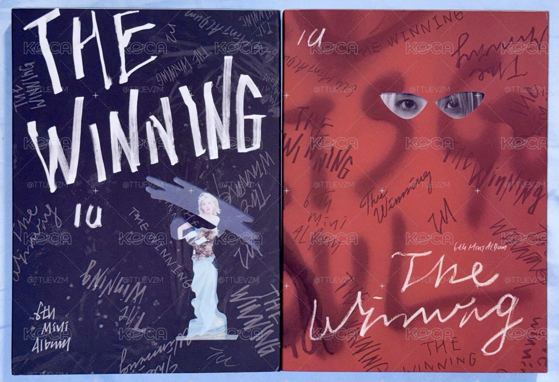 IU THE WINNING 專輯