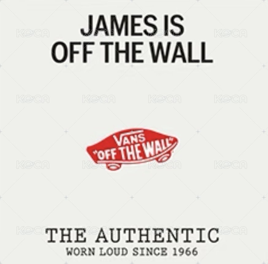 Vans 代言卡 口袋卡 背面