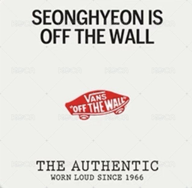 Vans 代言卡 口袋卡 背面