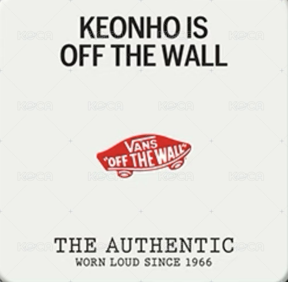 Vans 代言卡 口袋卡 背面