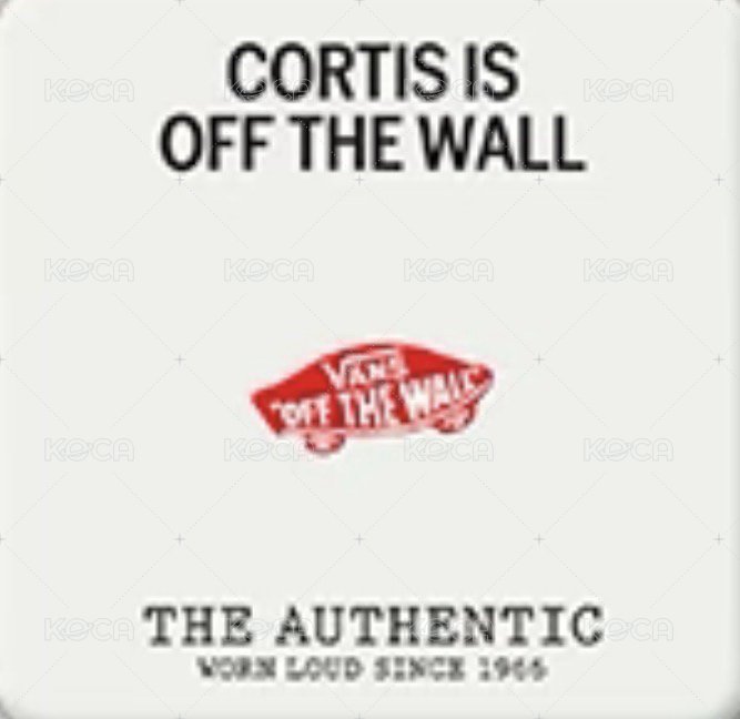 Vans 代言卡 口袋卡 團卡 背面