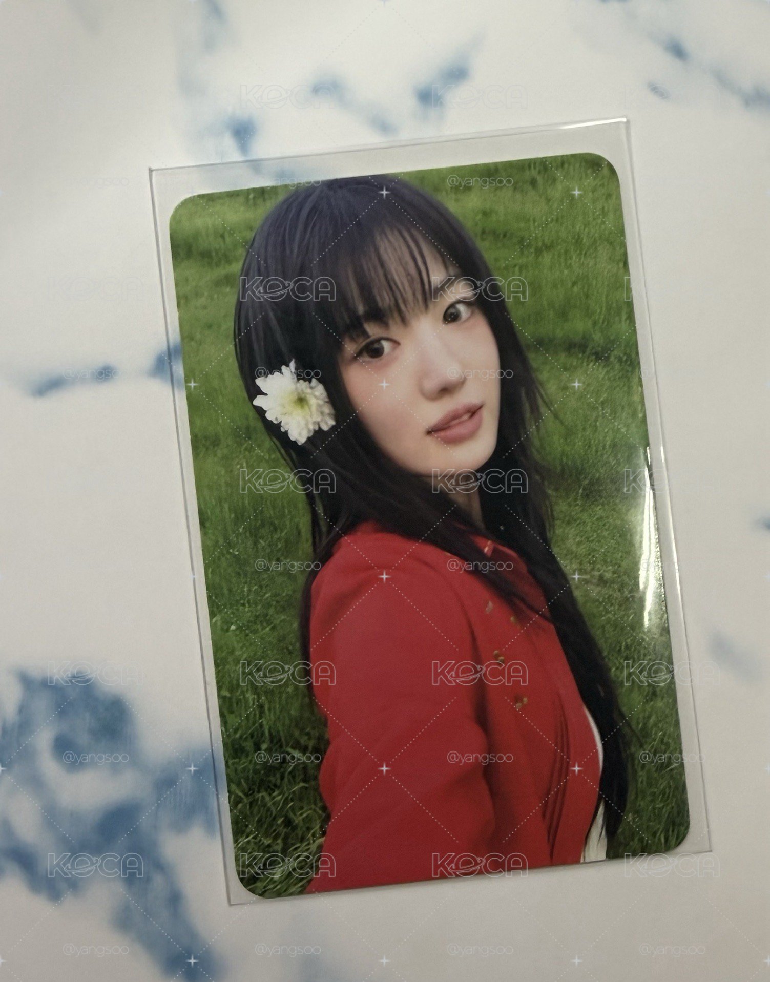 專卡Sui