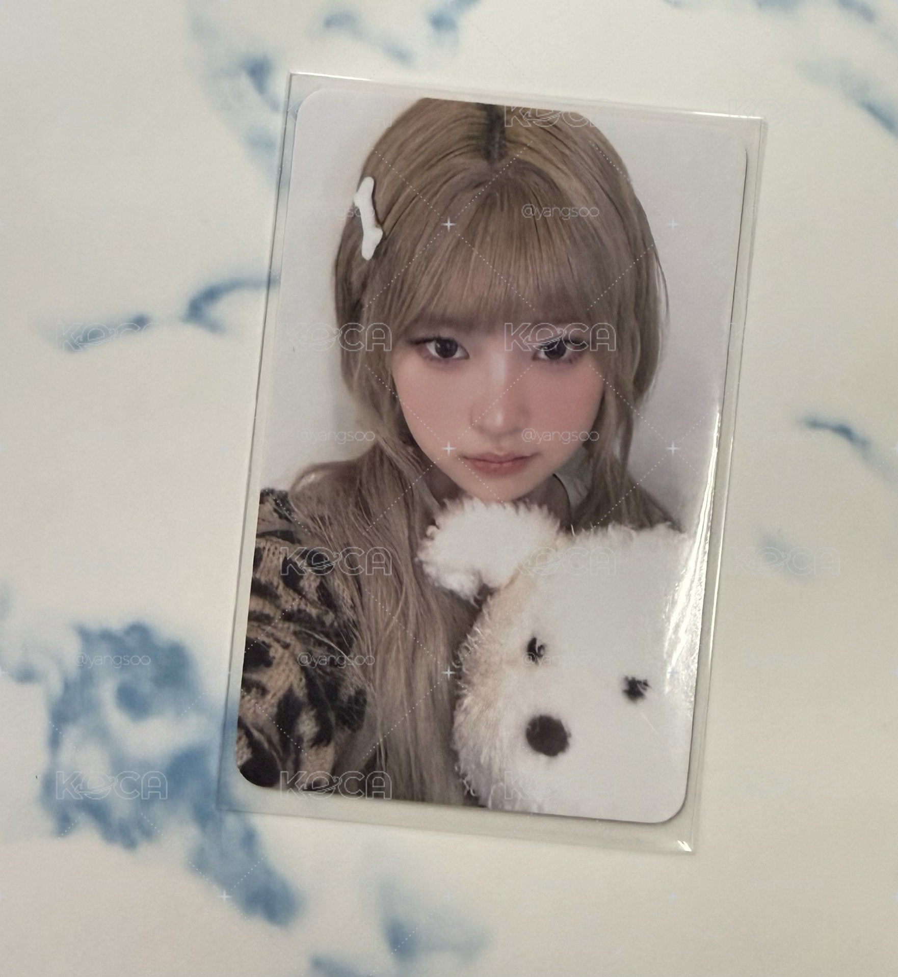 萌萌小狗Haum