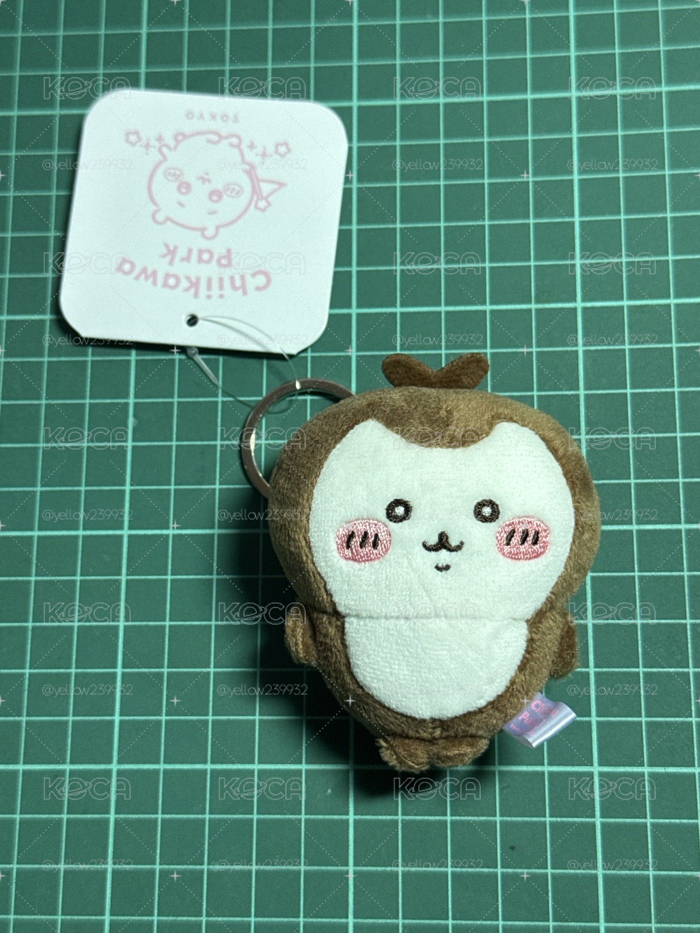 樂園小甲蟲 倒三角形的完美身材