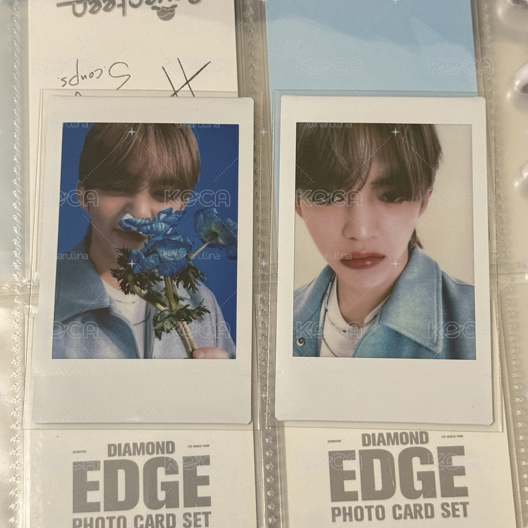 Seventeen Scoups