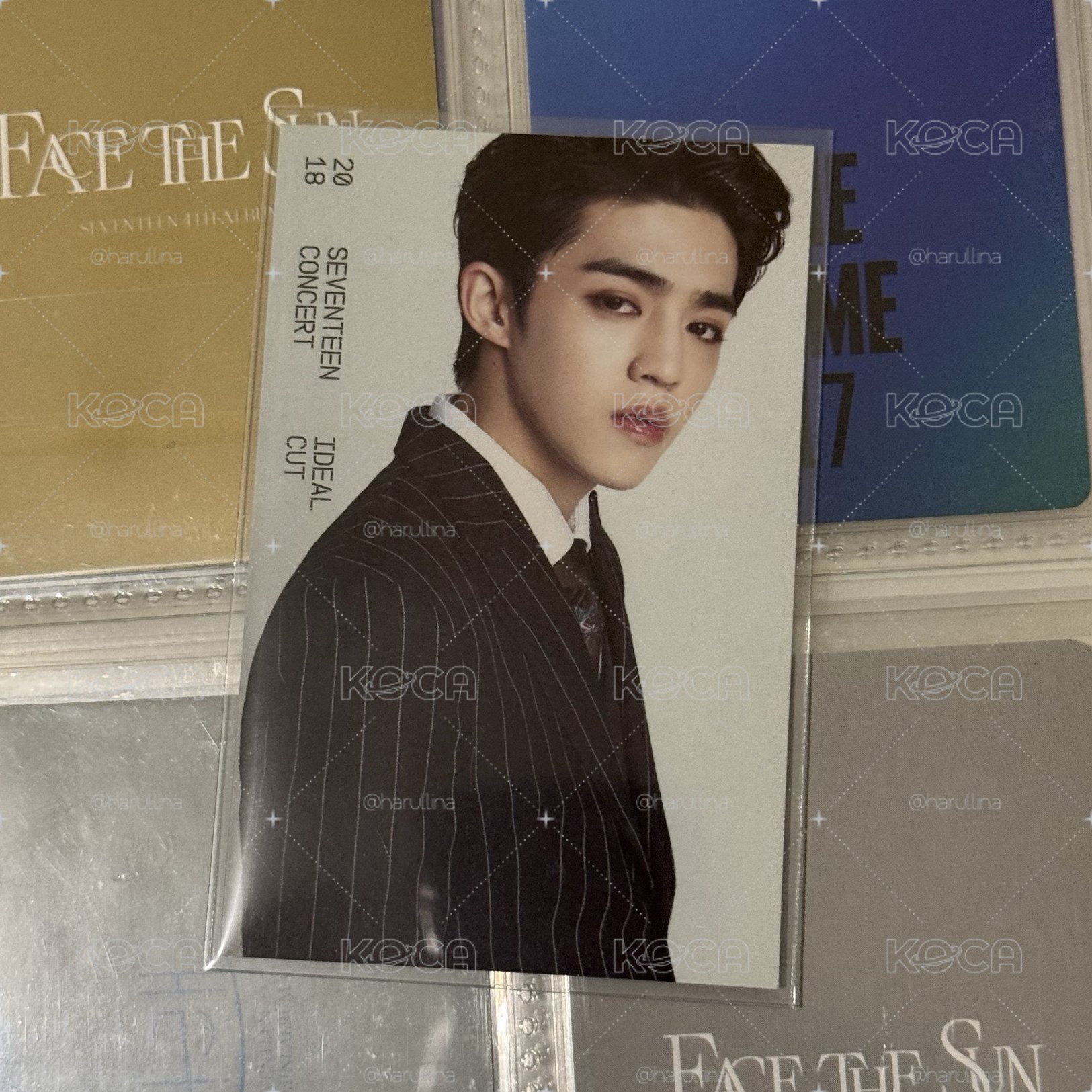 Seventeen Scoups