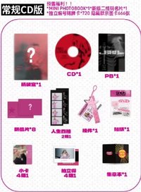 實體專輯 CD版 專輯 