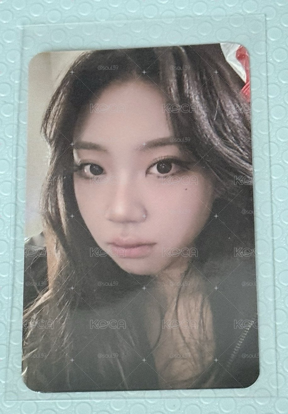 李泳知_櫻花季小卡