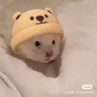 Jnuu