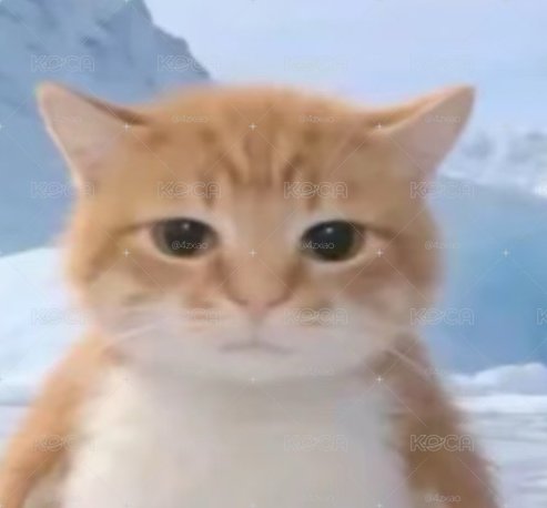 補寄