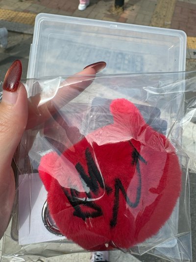寶怪毛絨掛件 單掛件無卡
