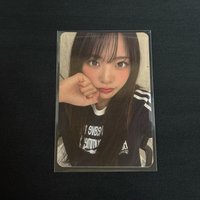 豆順拳燕