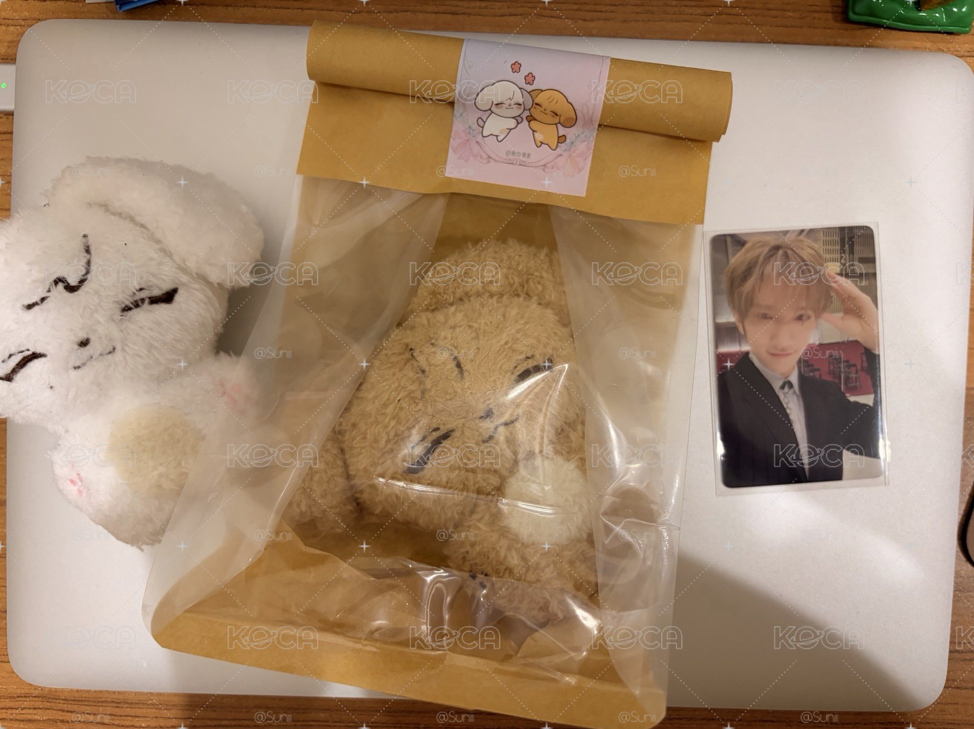 精選專一直娛夏日特典