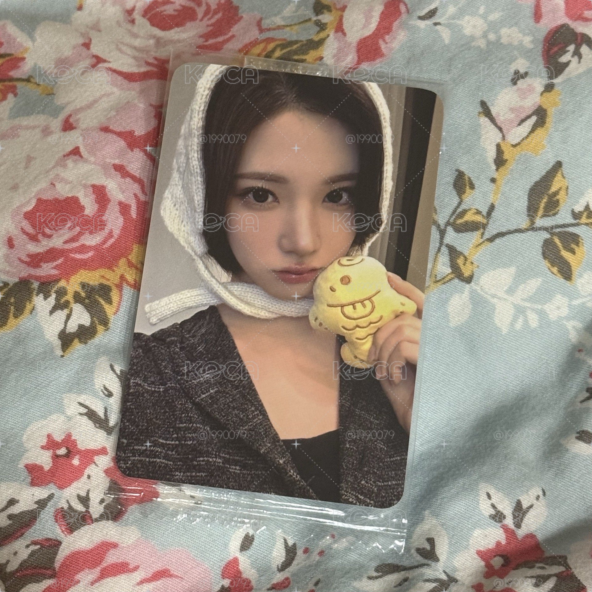 ⭐️鯛魚燒Jiwoo