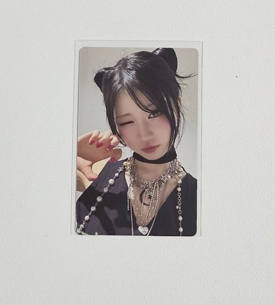 二週年wvs特典卡 Asa（需多帶）