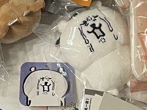 爆哭熊 4天後出不去丟競標