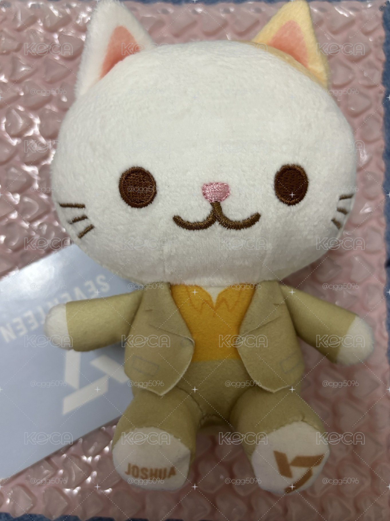秀貓咪娃