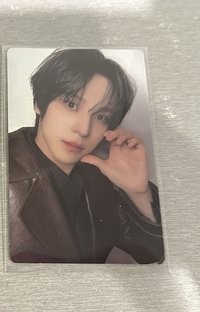 呆呆小狗