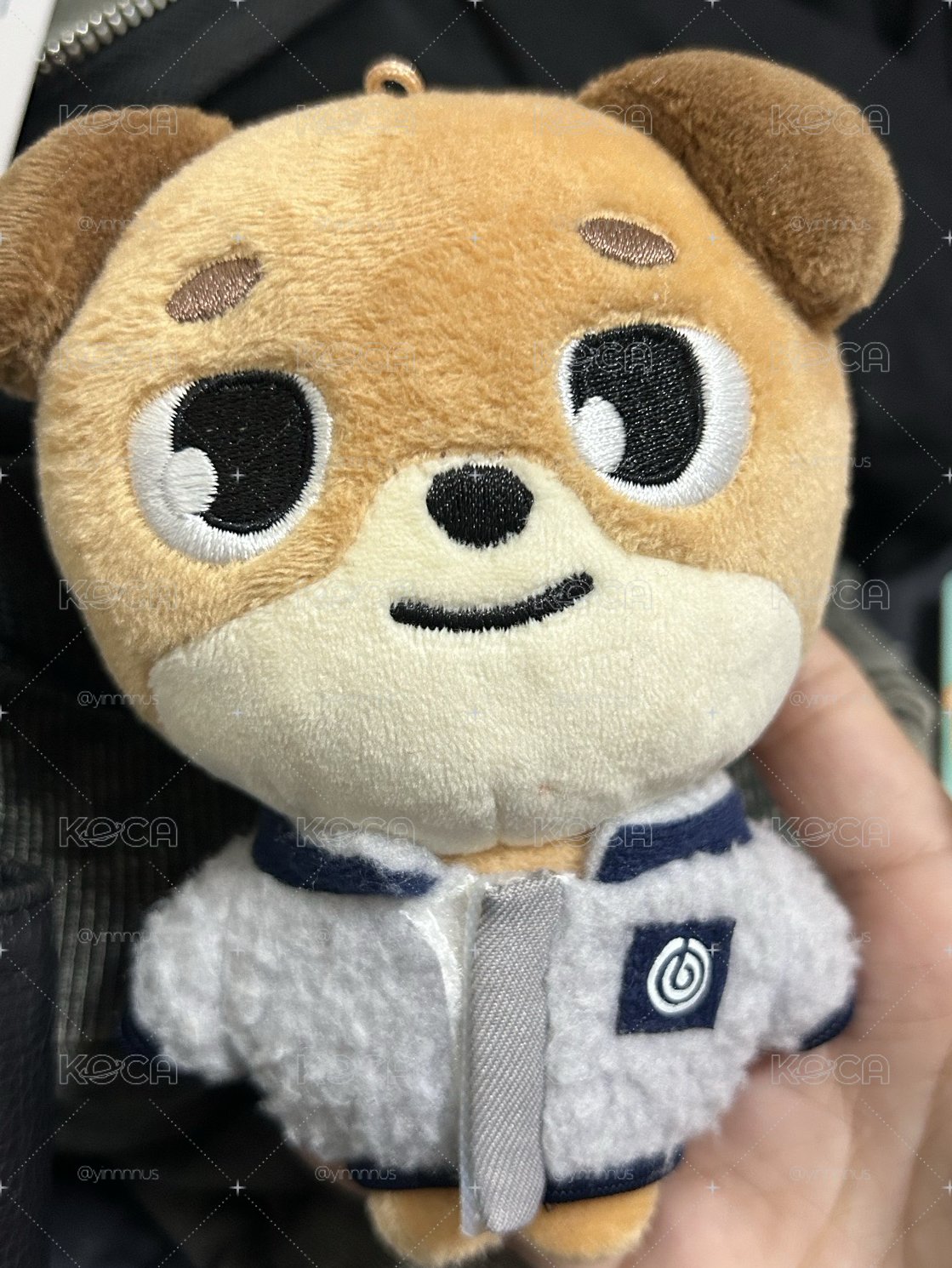 Day6 2019🐶 有盒子不含娃衣