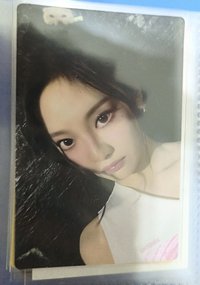 貓咪寧
