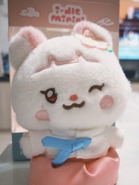 芯