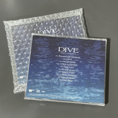 子瑜 DIVE 空專