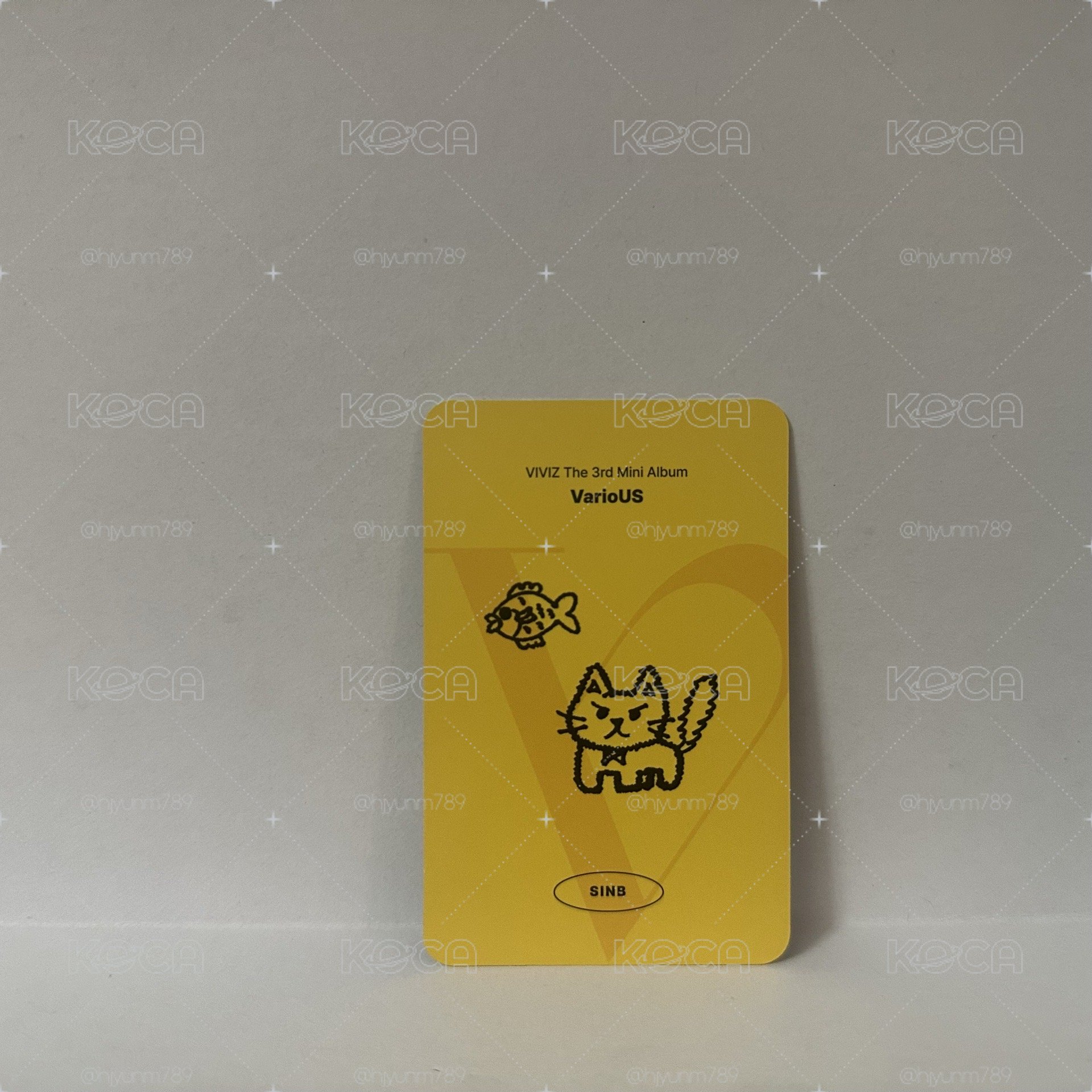迷三專卡飛