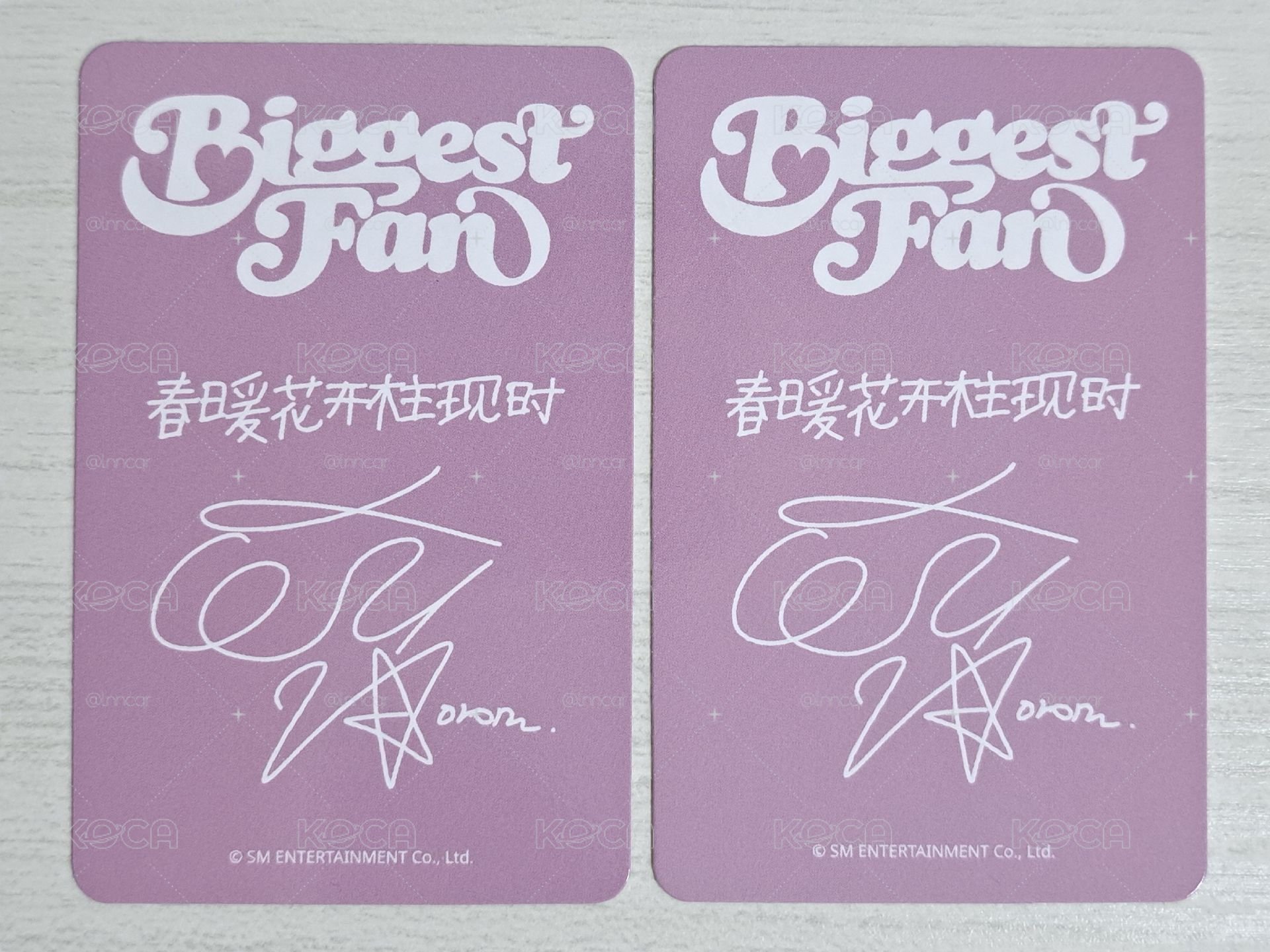 正規一 sr 特典卡 姐 春暖花開柱現時