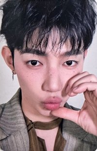 迷一 電子專 專輯卡 
