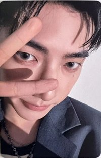 迷一 電子專 專輯卡 