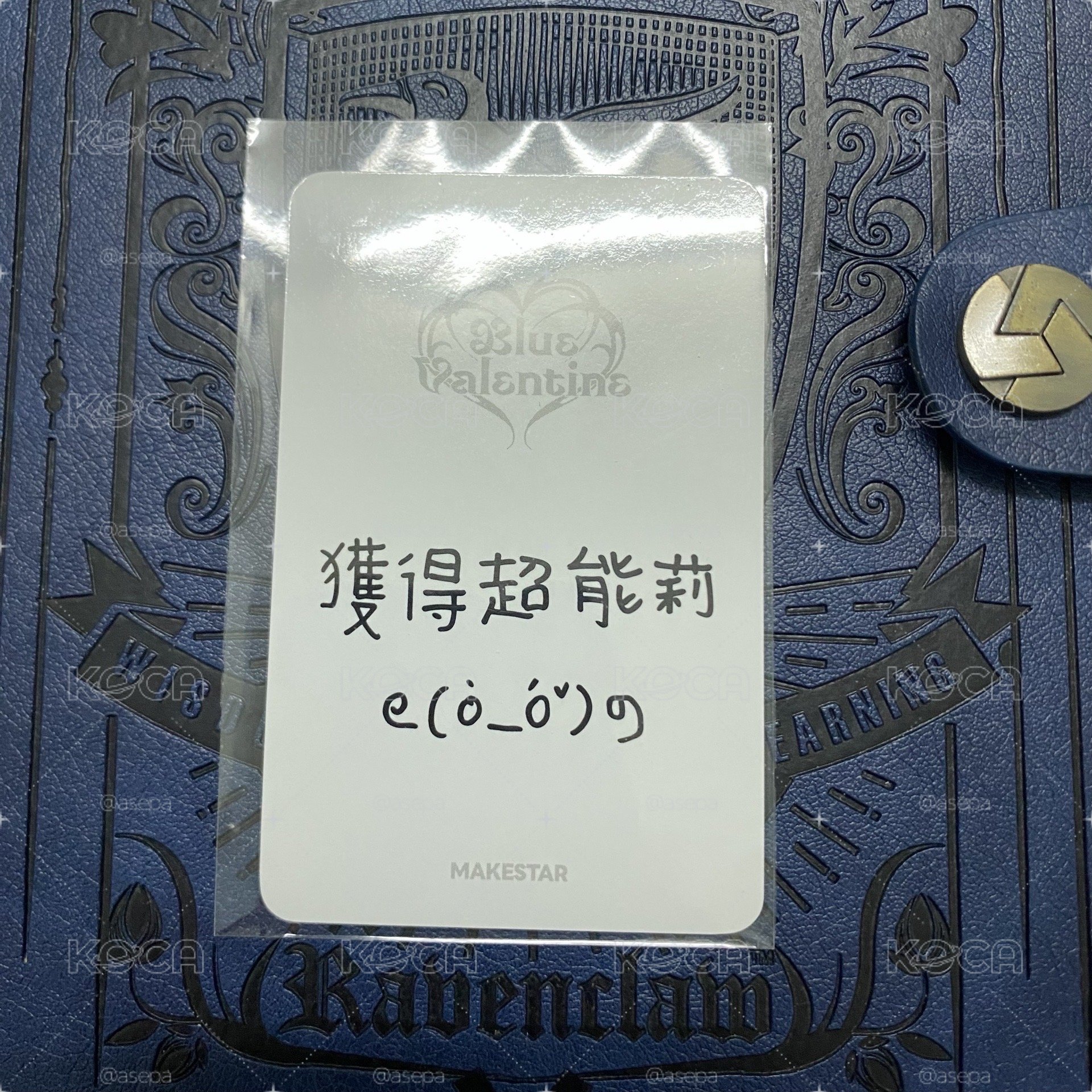 🐾寫下你的願望莉