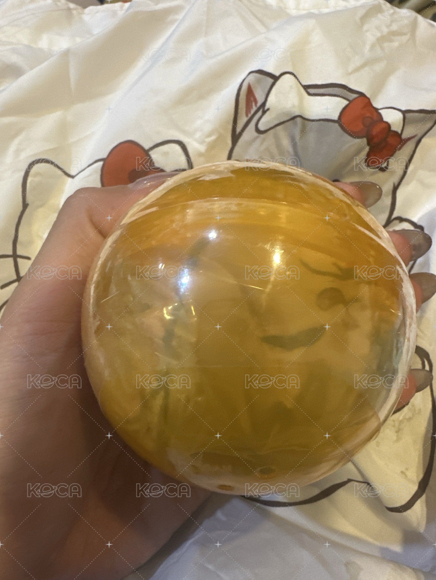 布丁狗