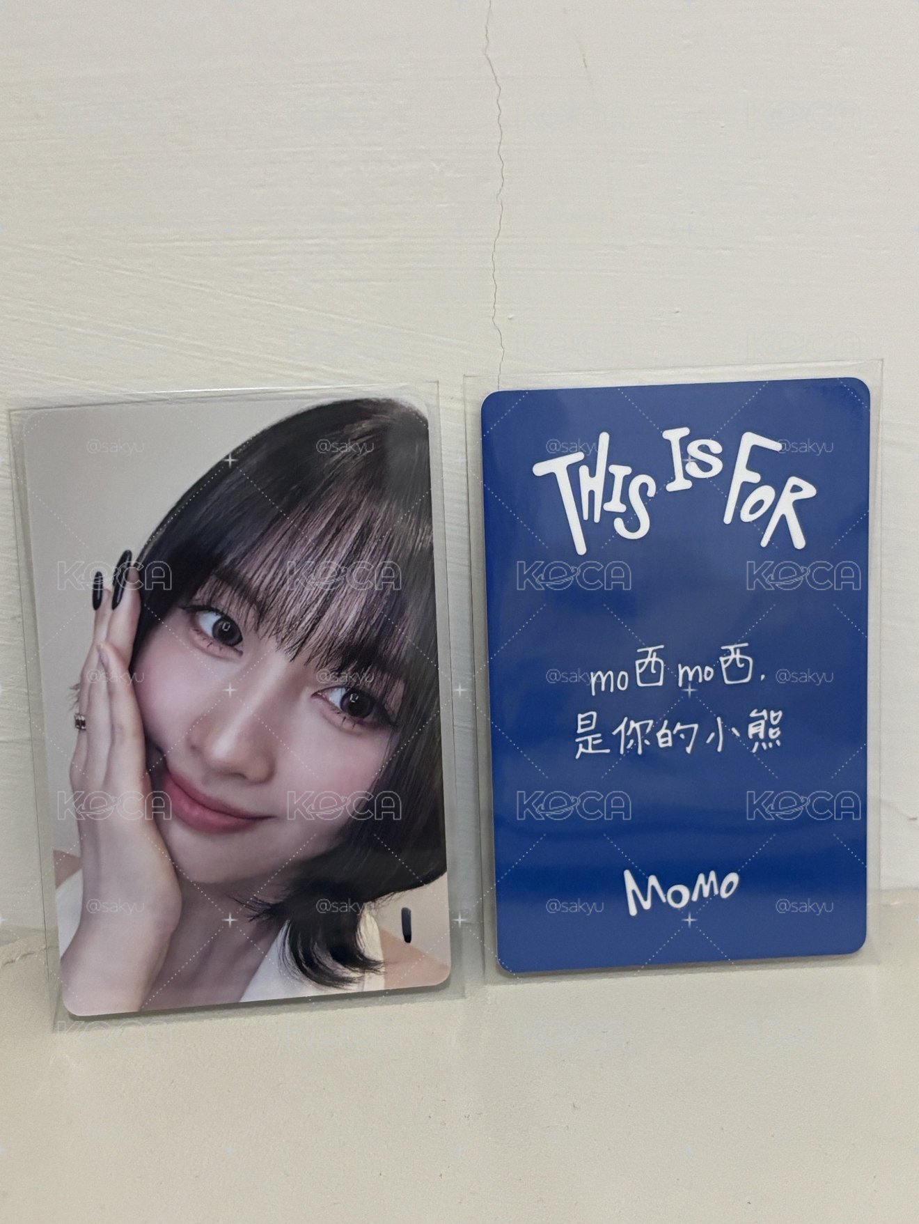 momo 中文卡背 mo西mo西 是你的小熊