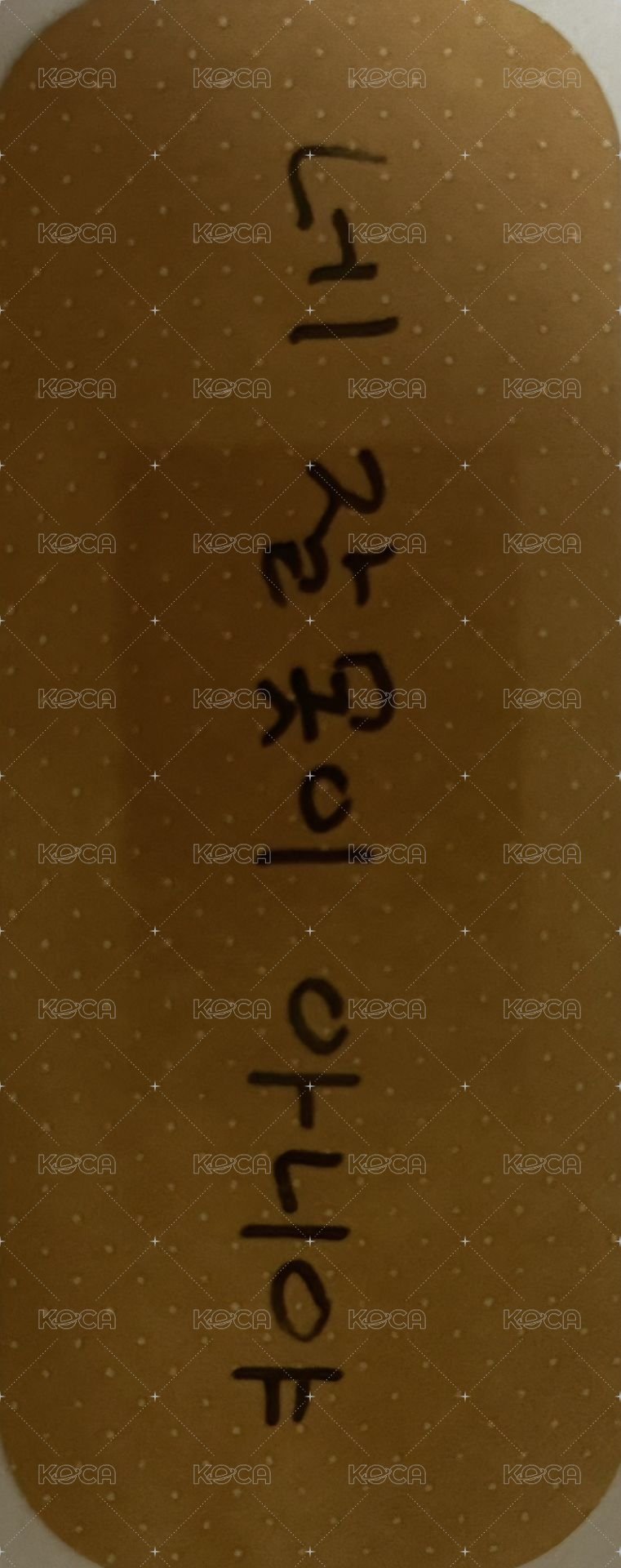迷九 專輯卡 訊息卡 背面