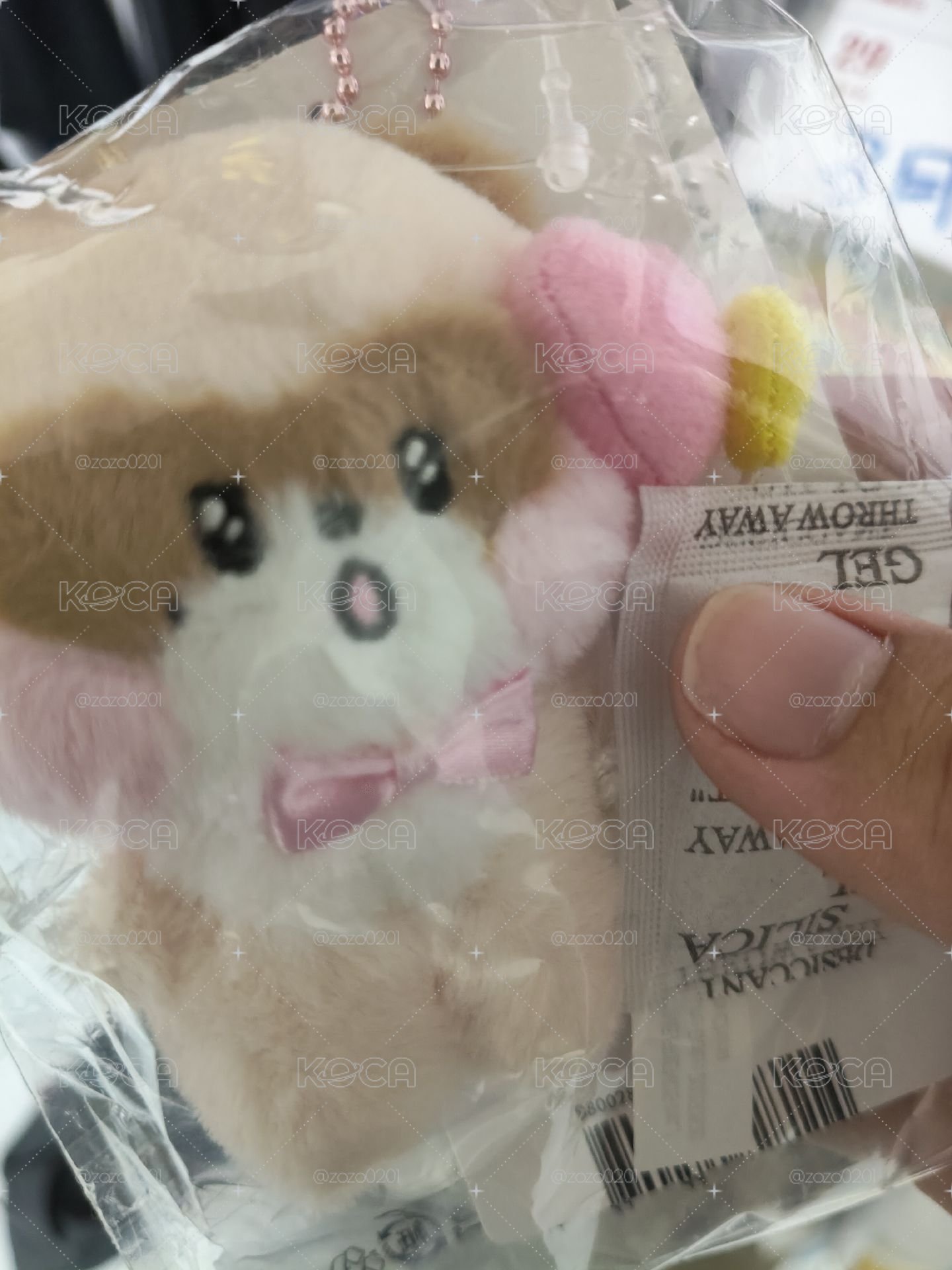 派對昊