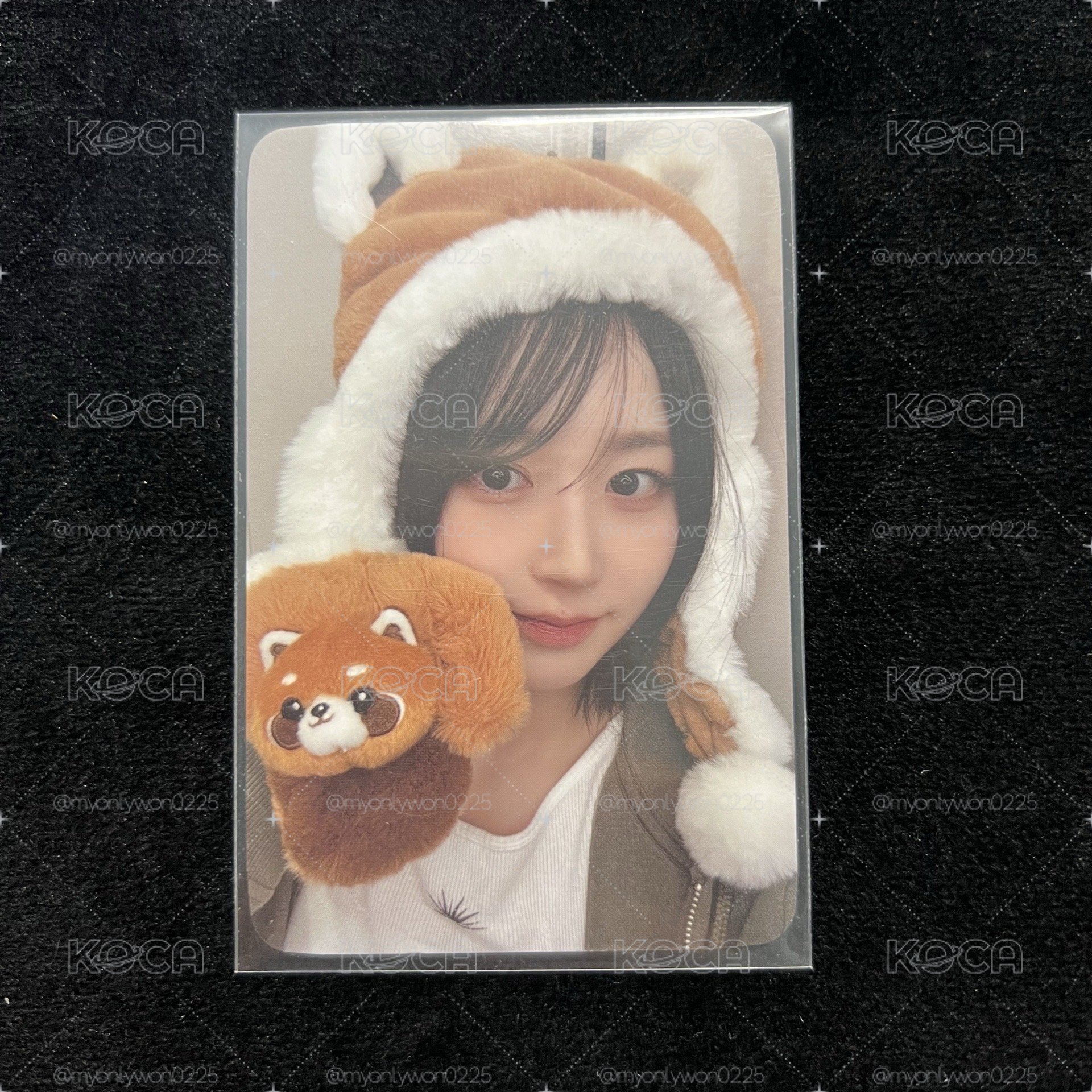 🐻‍❄️浣熊嫄